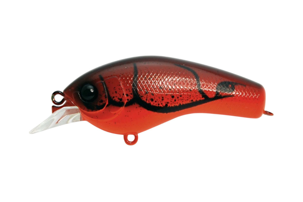 Naluci si momeli care dau rezultate iarna - CRFishing