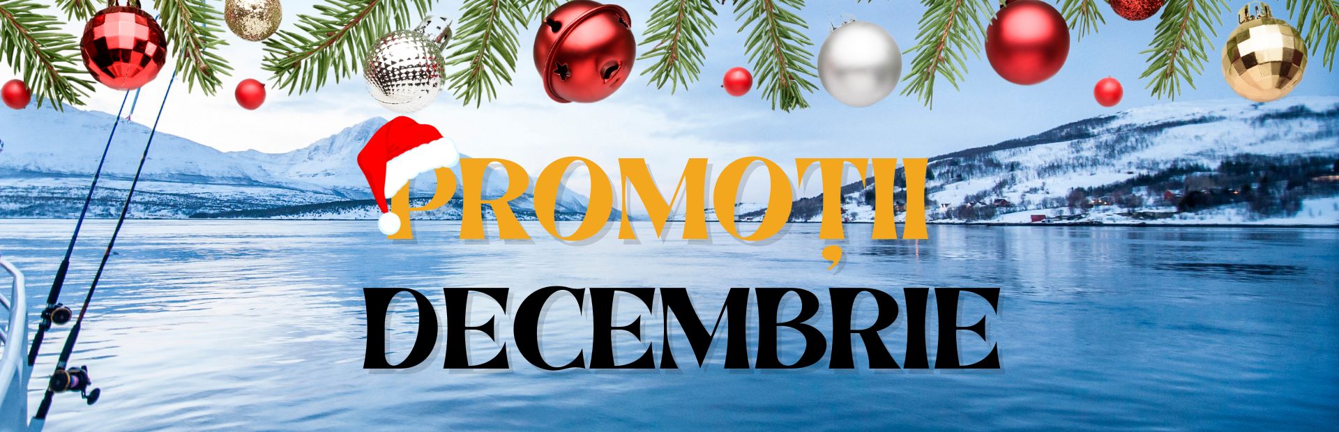 Banner Promotii Decembrie