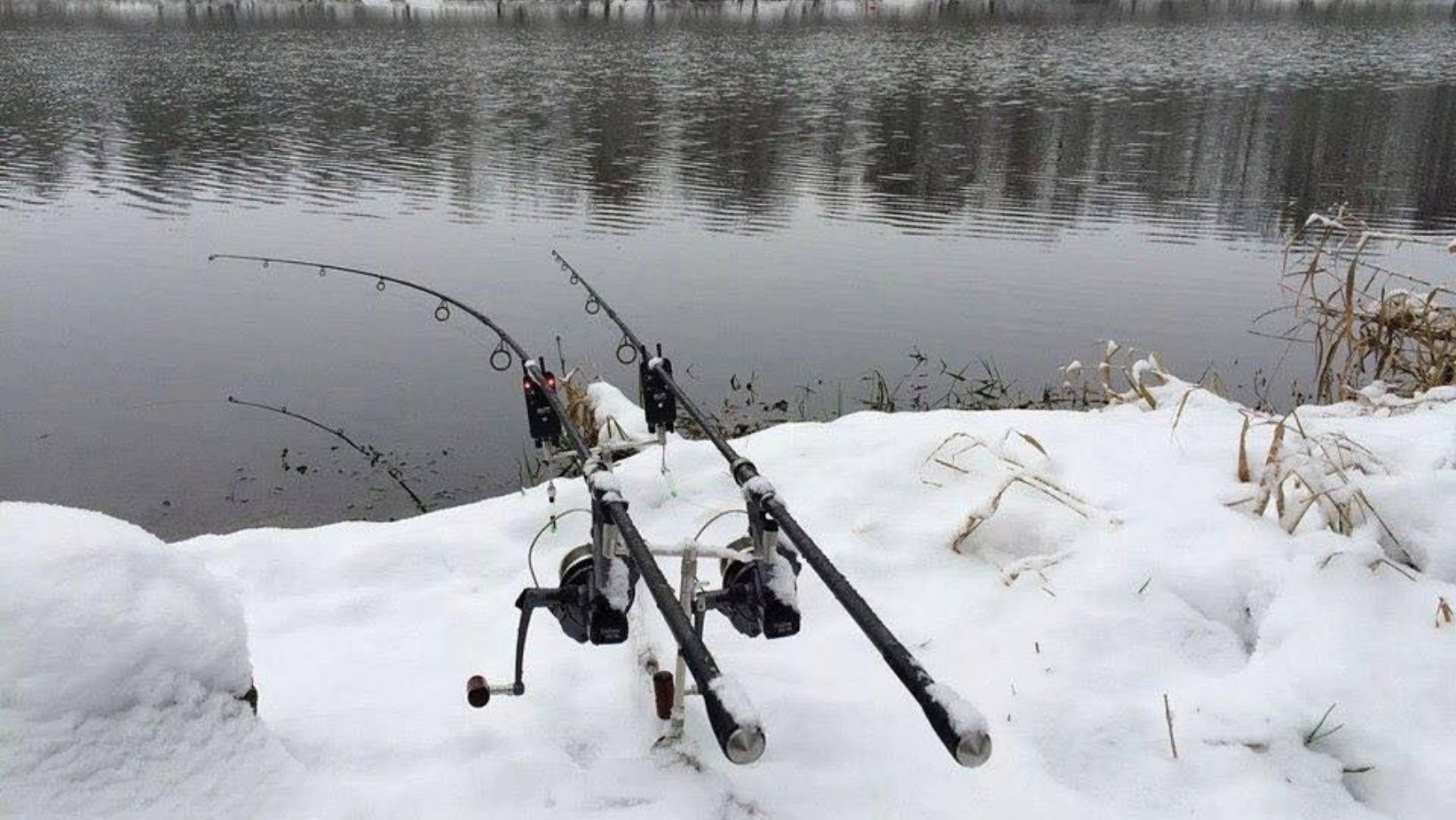 Cum afecteaza temperaturile scazute comportamentul pestilor si ce strategie de pescuit functioneaza iarna