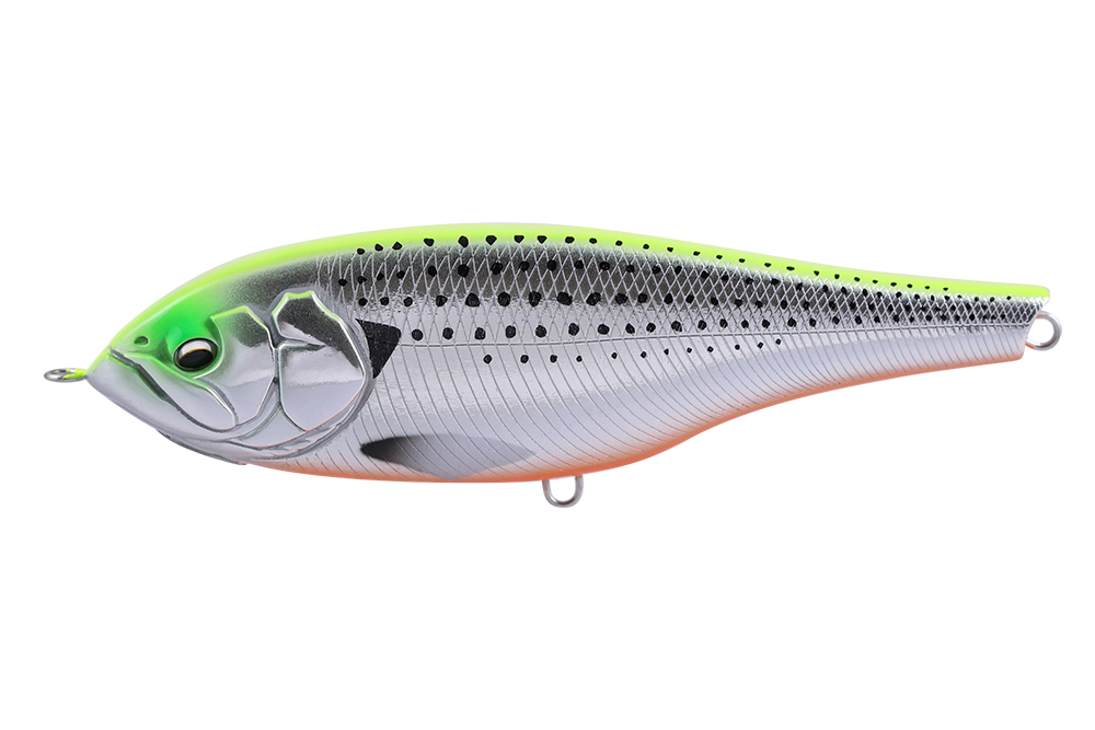 BABYFACE JB150-S 150mm 75gr 30 Chart Back Konoshiro