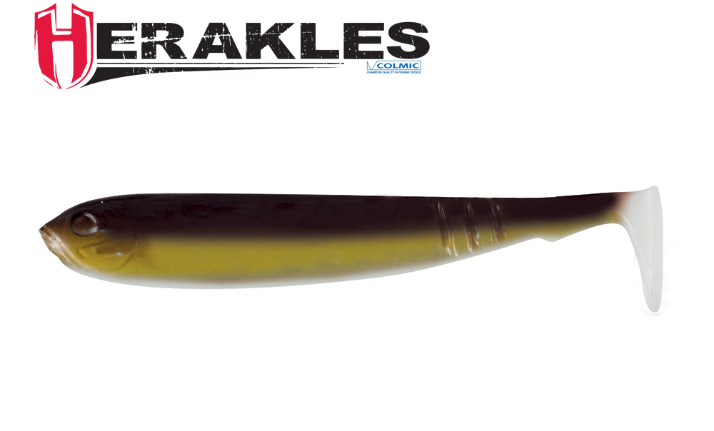 BENJO SHAD XX 14.5cm Tench