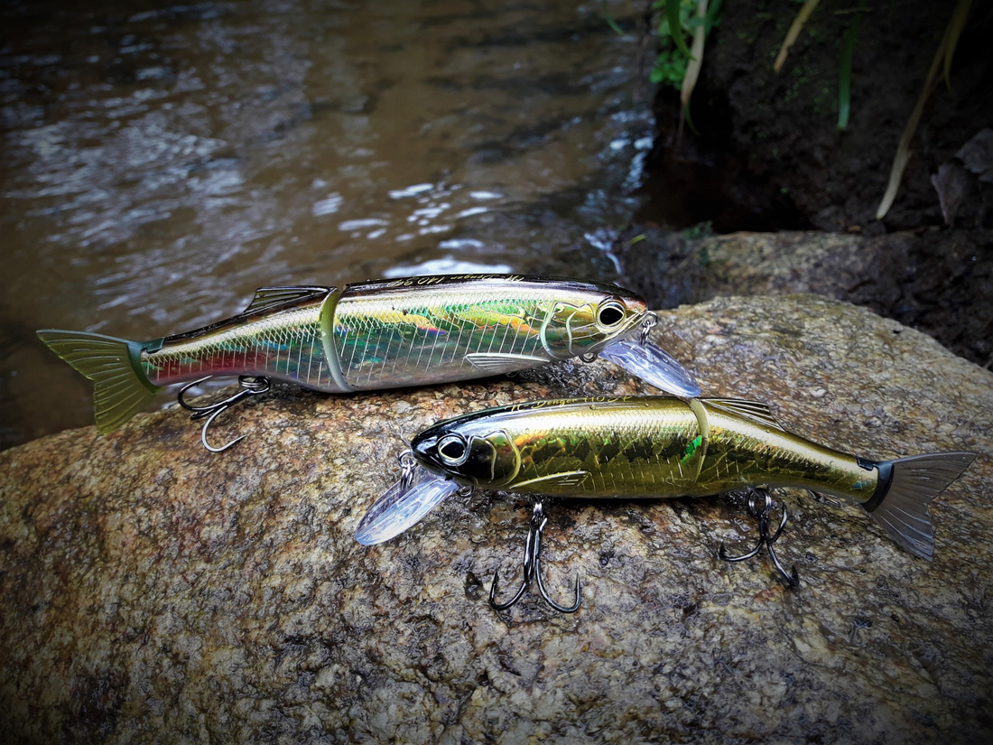 BIWAA N-DENGER 140SP 14cm 35gr D019 Dos Vert