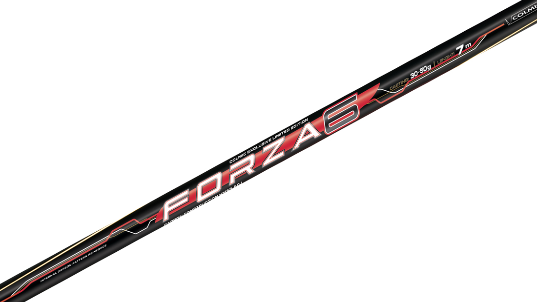 BOLOGNEZA COLMIC FORZA-6 7M 30-50GR