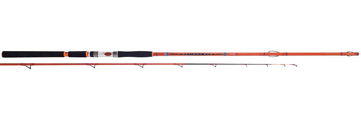 CALIBRA 240 70-300GR