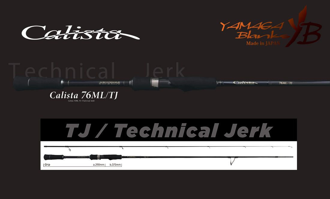 CALISTA 76ML/TJ 2.293m 20gr Fuji Titanium Torzite