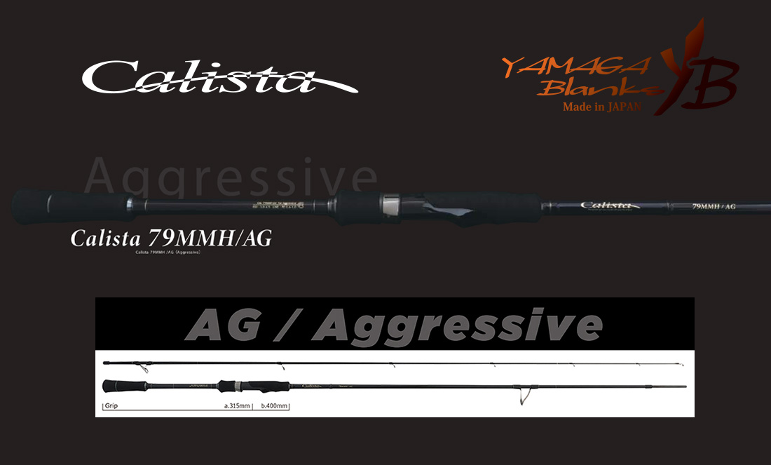 CALISTA 79MMH/AG 2.38m 35gr Fuji Titanium Torzite