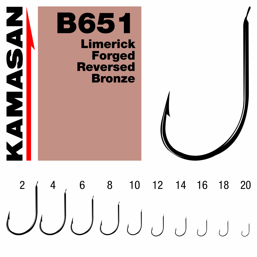 CARLIGE KAMASAN B651 NR 10