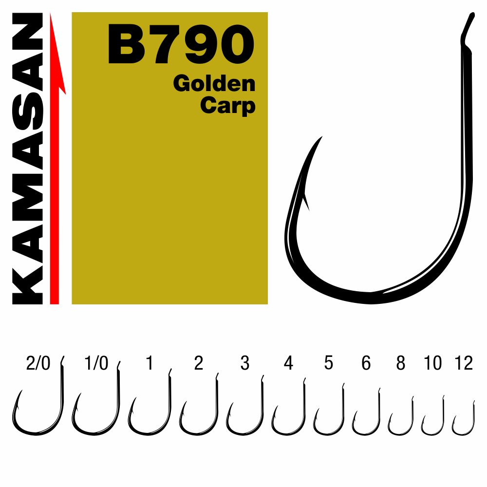 CARLIGE KAMASAN B790 NR 2 AURIU