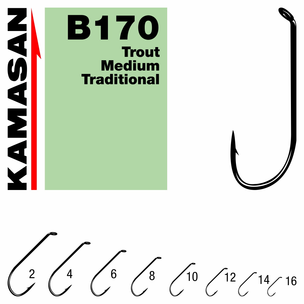 CARLIGE KAMASAN FLY B170 NR 4