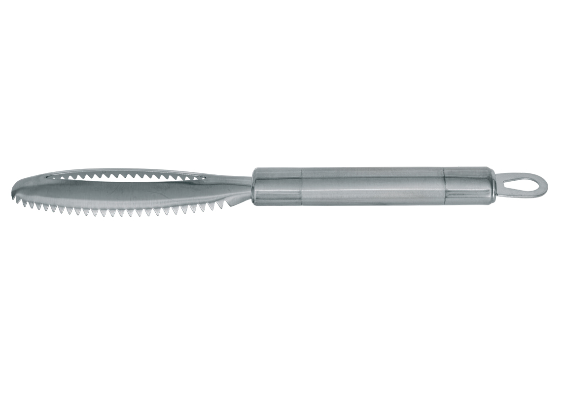 DISPOZITIV CARP ZOOM PENTRU CURATAT PESTI 24cm