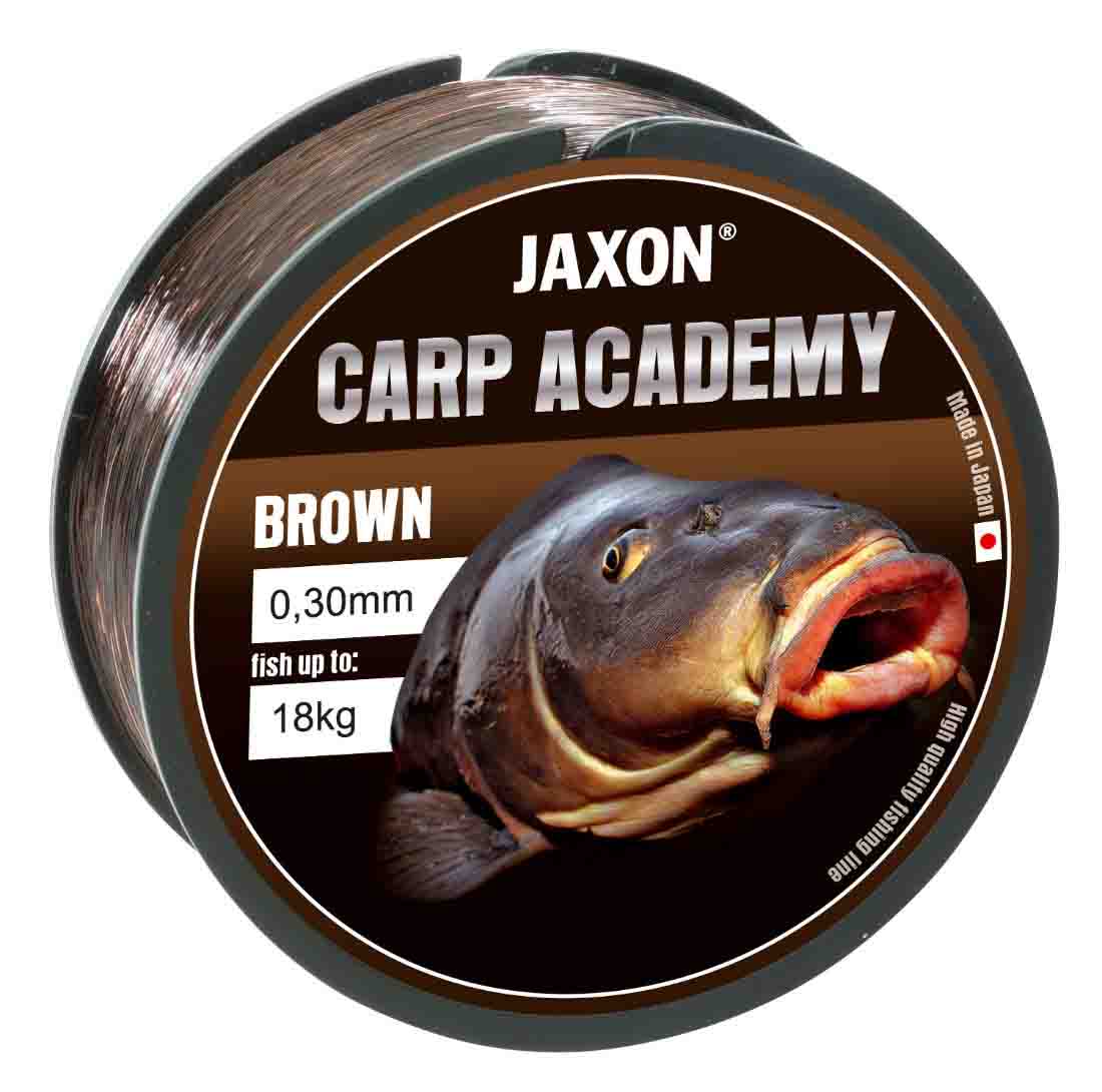 FIR CARP ACADEMY BROWN 1000m 0.32mm 20kg
