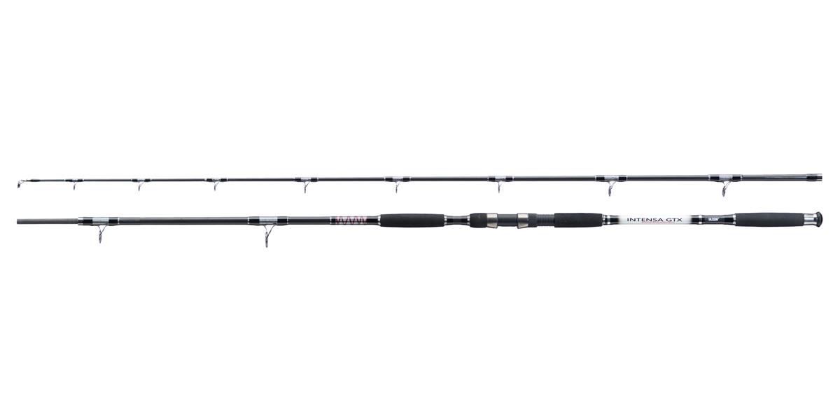 INTENSA GTX CAT FISH 315 500GR