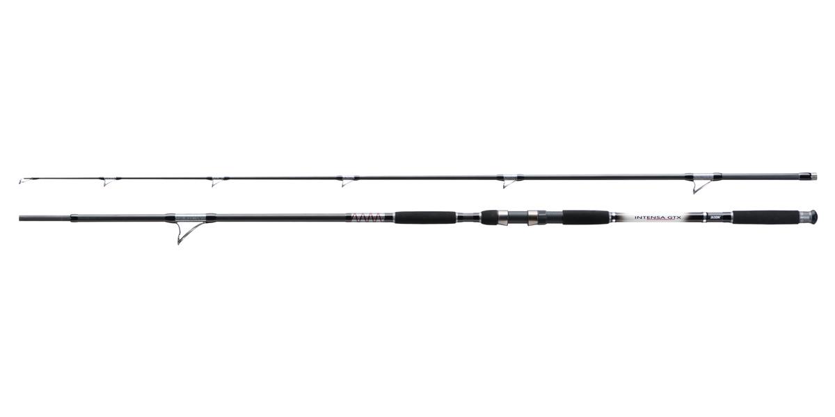 INTENSA GTX CAT FISH HD 300 400GR