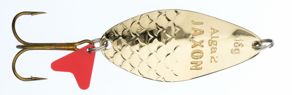 OSCILANTA HS ALGA CLASSIC 2G 16GR