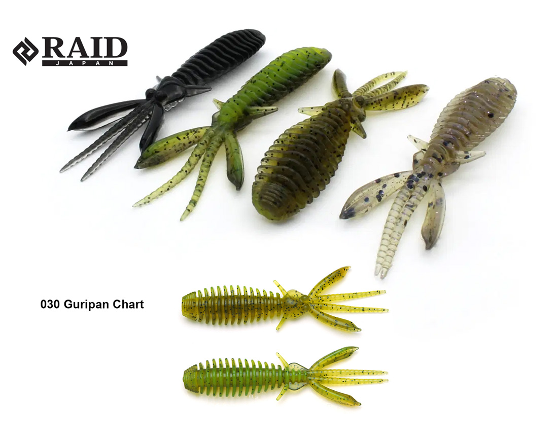 RAID EGUBUG 2.5 6.3cm 030 Guripan Chart