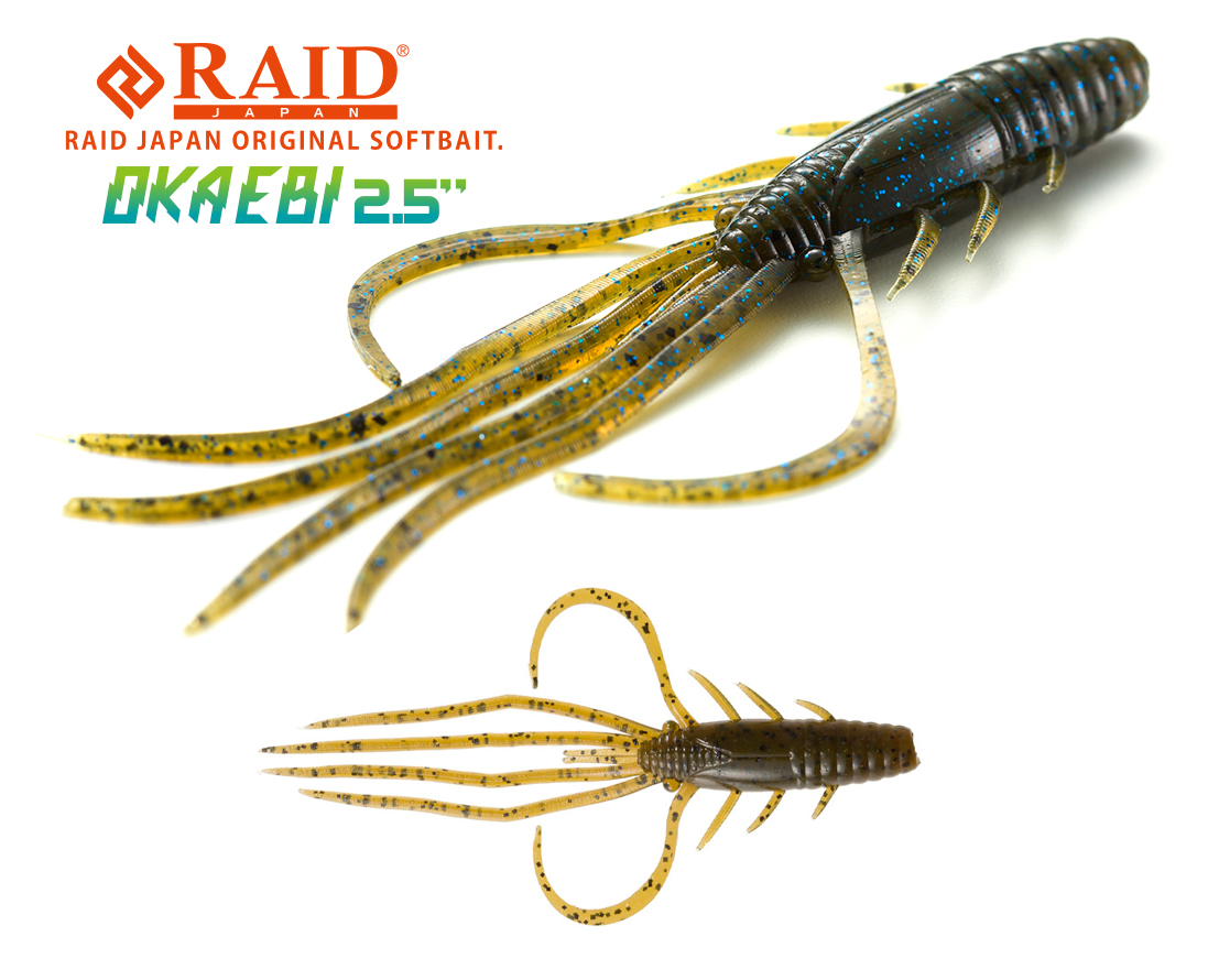 RAID OKA EBI 2.5 6.3cm 001 Green Pumpkin Seed