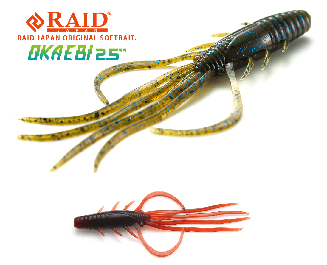 RAID OKA EBI 2.5 6.3cm 036 Scuppernong