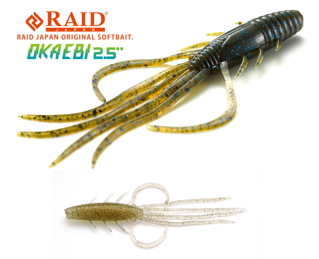 RAID OKA EBI 2.5 6.3cm 040 Ghost Shrimp