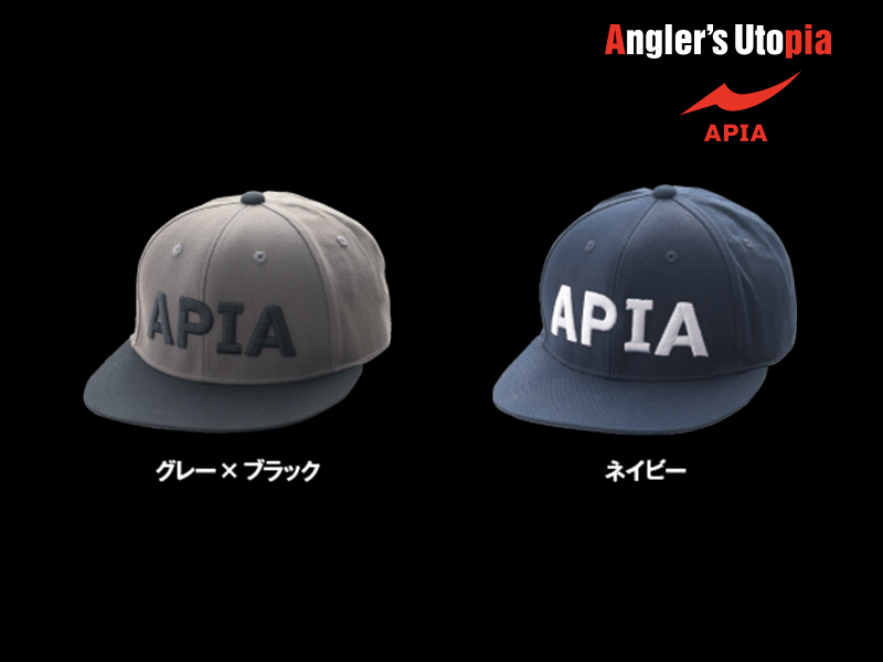 SAPCA APIA FLAT CAP Gray/Black