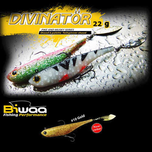 SHAD DIVINATOR JUNIOR 14cm 22gr 10 Gold