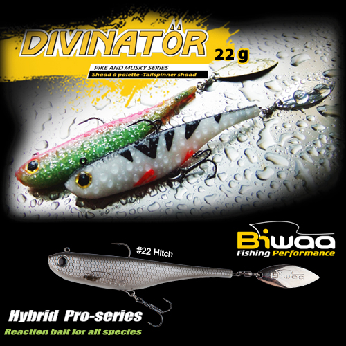 SHAD DIVINATOR JUNIOR 14cm 22gr 22 Hitch