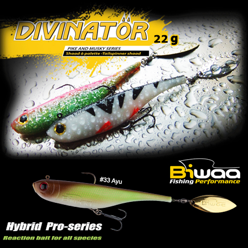 SHAD DIVINATOR JUNIOR 14cm 22gr 33 Ayu