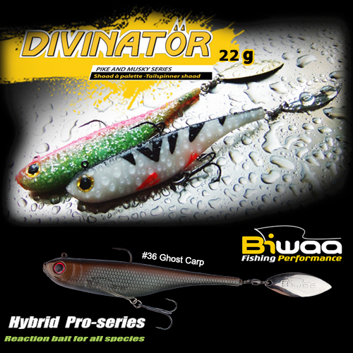 SHAD DIVINATOR JUNIOR 14cm 22gr 36 Ghost Carp
