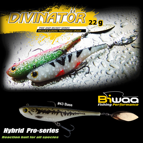 SHAD DIVINATOR JUNIOR 14cm 22gr 43 Bass