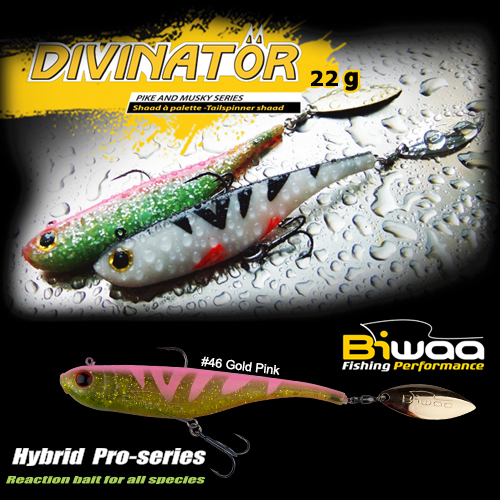 SHAD DIVINATOR JUNIOR 14cm 22gr 46 Gold Pink
