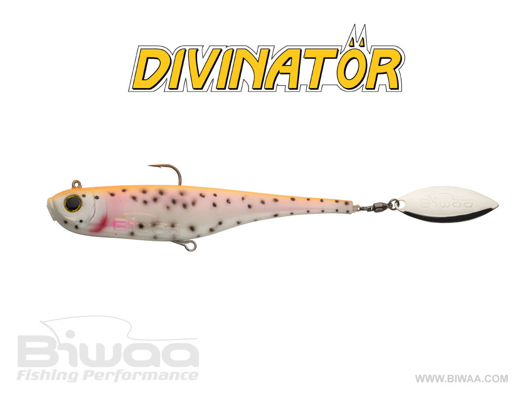 SHAD DIVINATOR JUNIOR 14cm 22gr 48 Aguabonita