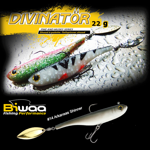 SHAD DIVINATOR MEDIUM 18cm 35gr 14 Arkansas Shiner