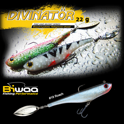 SHAD DIVINATOR MEDIUM 18cm 35gr 18 Roach