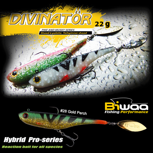 SHAD DIVINATOR MEDIUM 18cm 35gr 30 Silver Zander