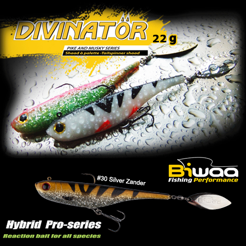 SHAD DIVINATOR MEDIUM 18cm 35gr 36 Ghost Carp