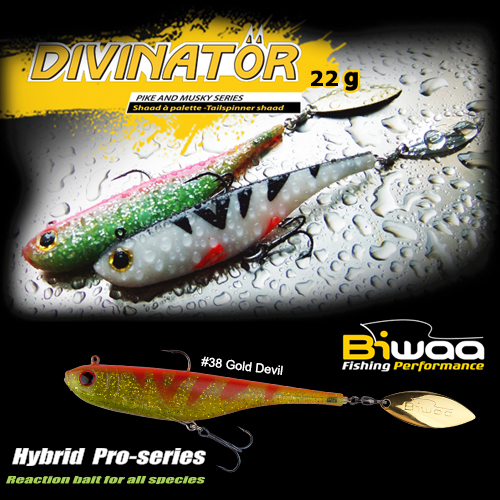 SHAD DIVINATOR MEDIUM 18cm 35gr 49 Rainbow
