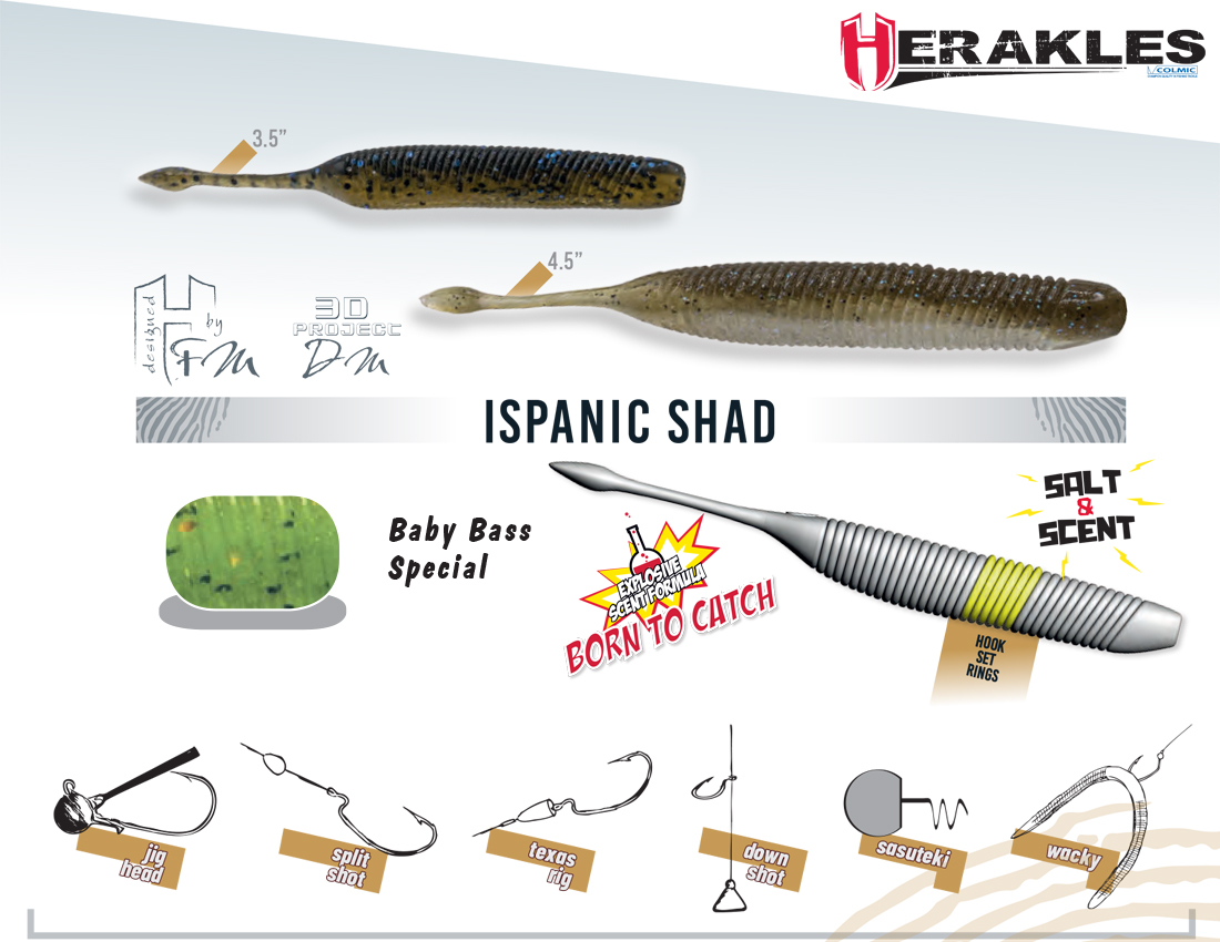SHAD ISPANIC 4.5 11.4cm Baby Bass Special
