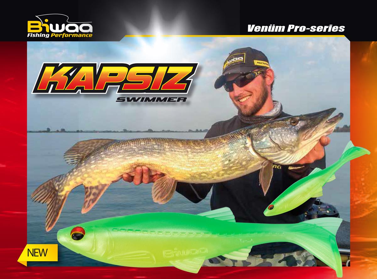 SHAD KAPSIZ 4 10cm 206 Golden Shiner