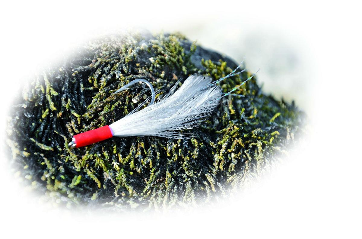 STREAMER PREDATOR-Z 2/0