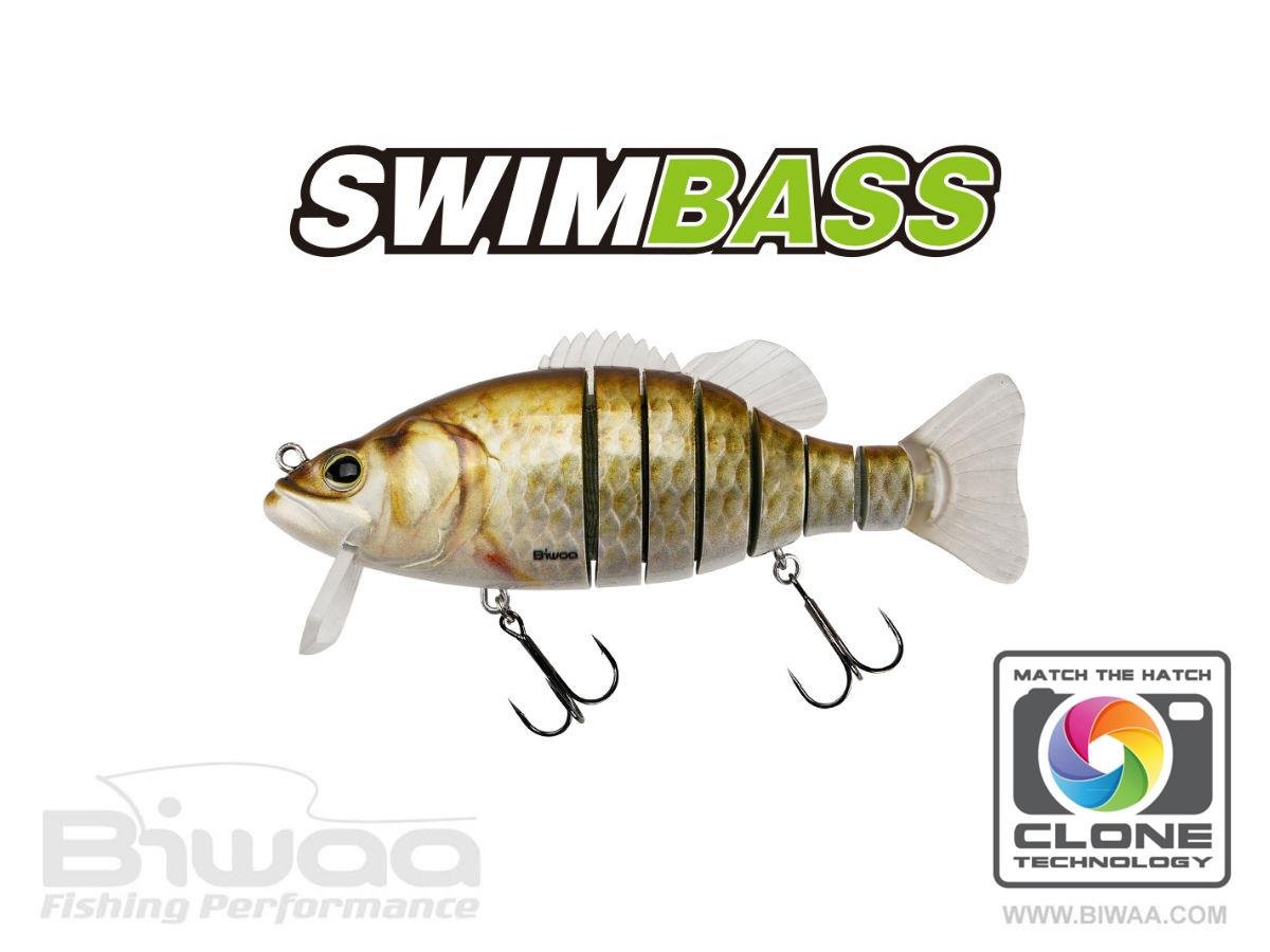 SWIMBASS 6 SLOW SINK 15cm 65gr 12 Carassin