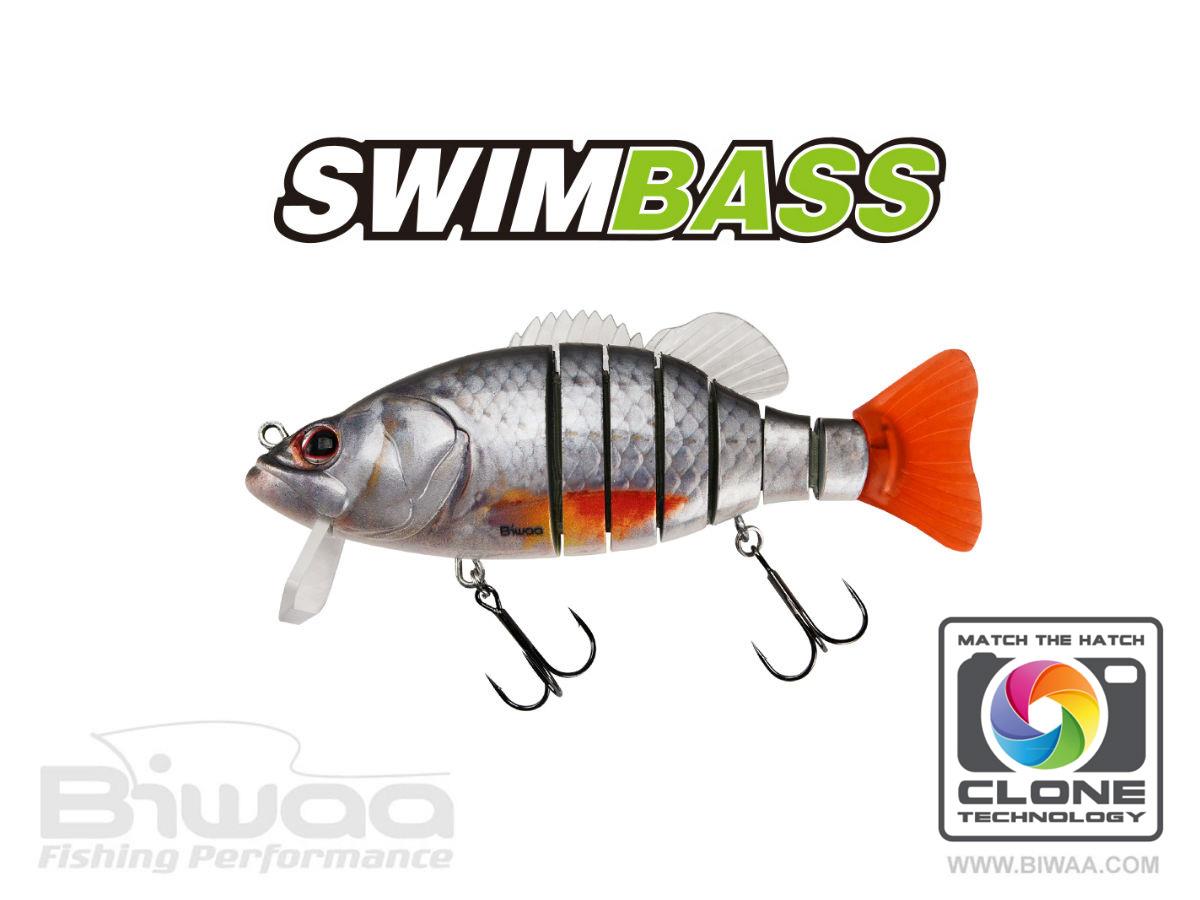SWIMBASS 6 SLOW SINK 15cm 65gr 38 Roach