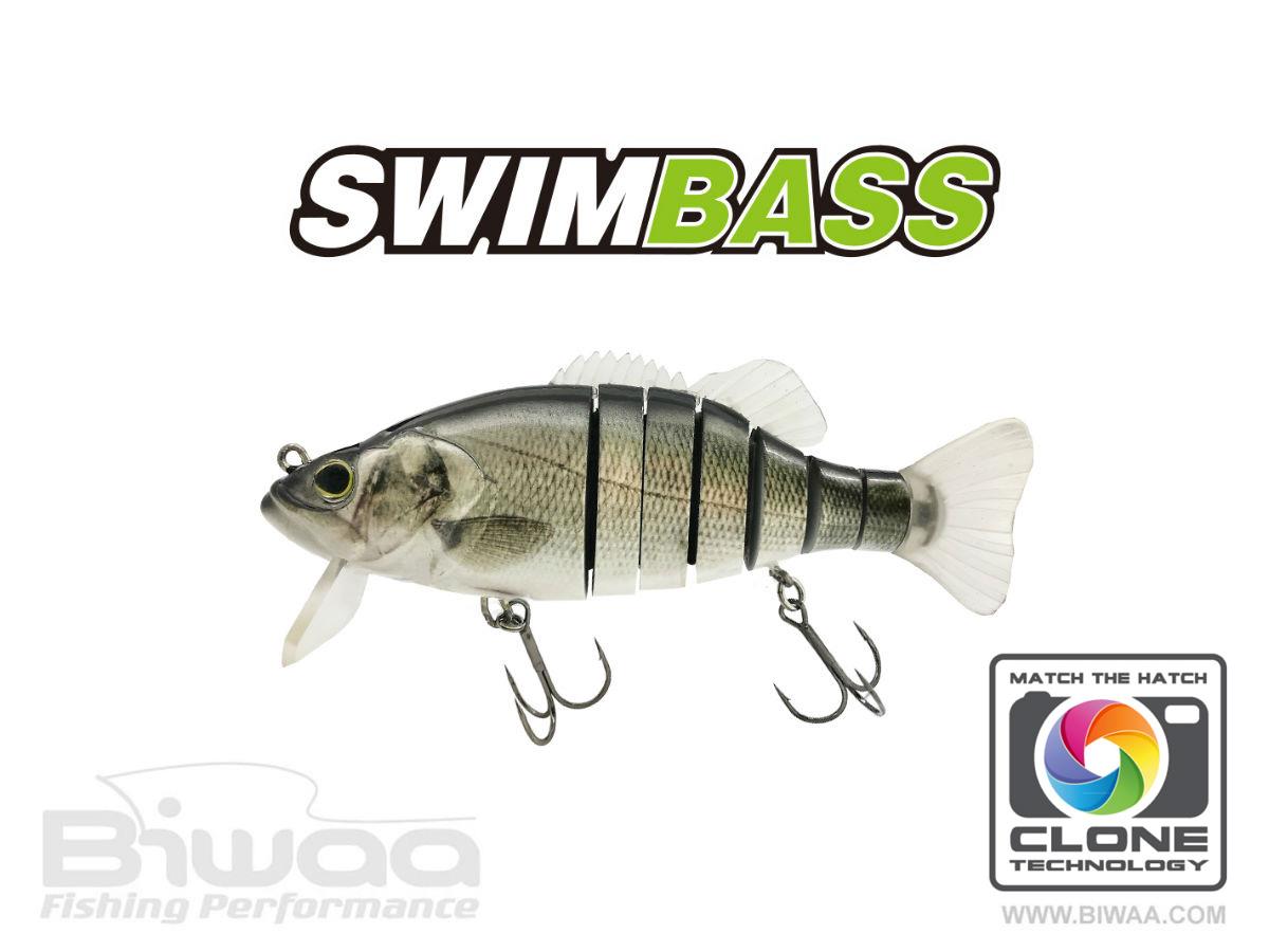 SWIMBASS 6 SLOW SINK 15cm 65gr 51 Brazino